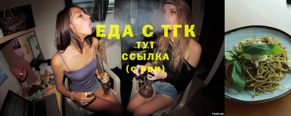 гидра Богородицк