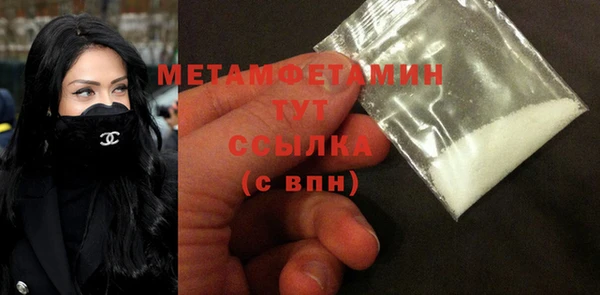 гидра Богородицк
