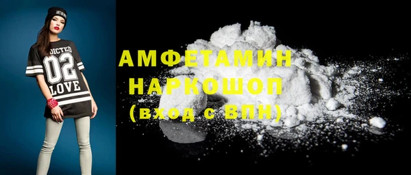 гидра Богородицк