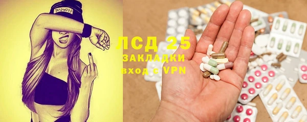 гидра Богородицк
