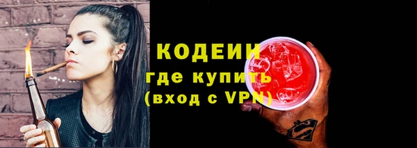 гидра Богородицк