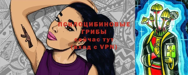 гидра Богородицк