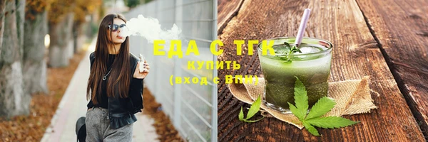 гидра Богородицк