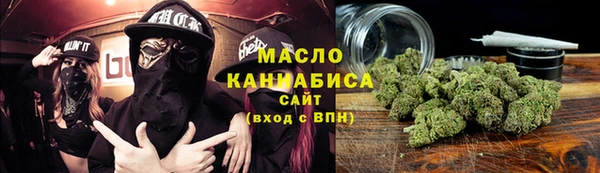 гидра Богородицк