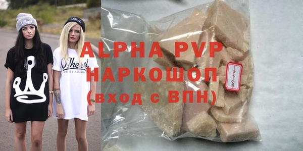 гидра Богородицк