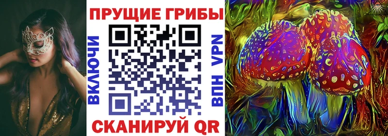 Галлюциногенные грибы GOLDEN TEACHER  где можно купить наркотик  Козельск 